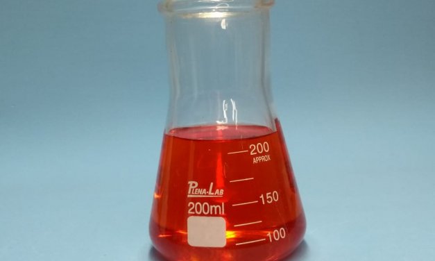 FRASCO ERLENMEYER BOCA LARGA DE 200ML