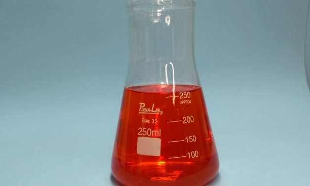 FRASCO ERLENMEYER BOCA LARGA DE 250ML