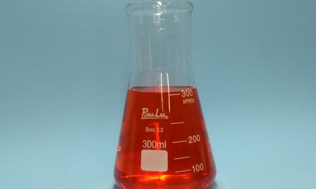 FRASCO ERLENMEYER BOCA LARGA DE 300ML